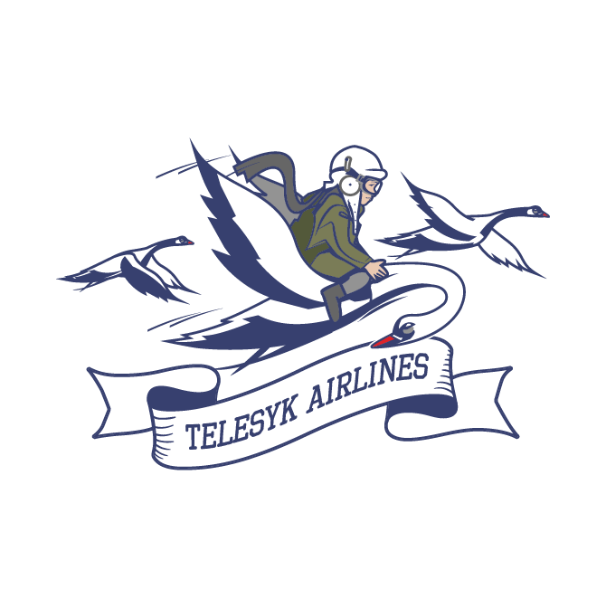 TELESYK AIRLINES